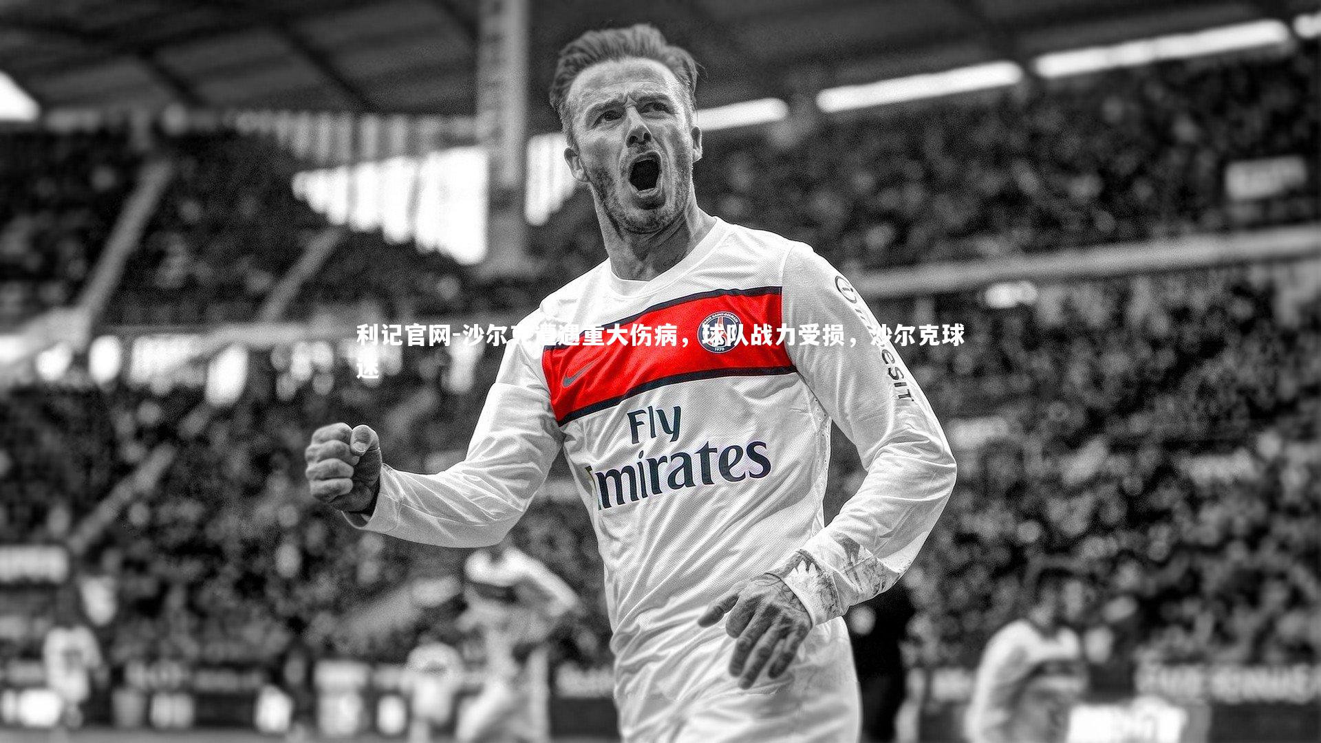 利记官网-沙尔克遭遇重大伤病，球队战力受损，沙尔克球迷