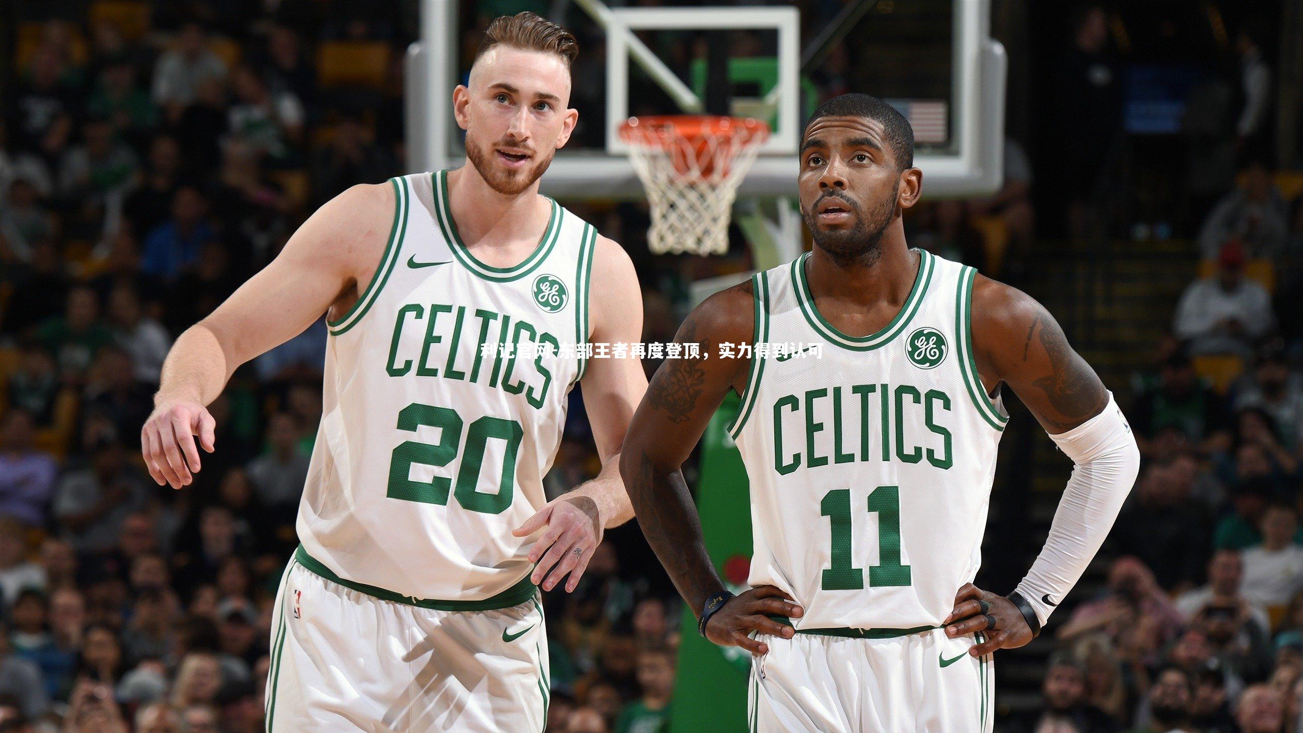 东部王者再度登顶，实力得到认可